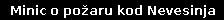 Minic o požaru kod Nevesinja