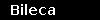 Bileca