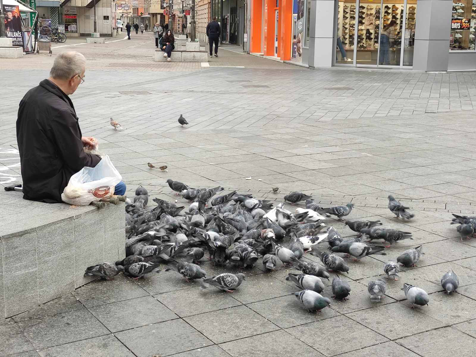 Golubovi Banjaluka