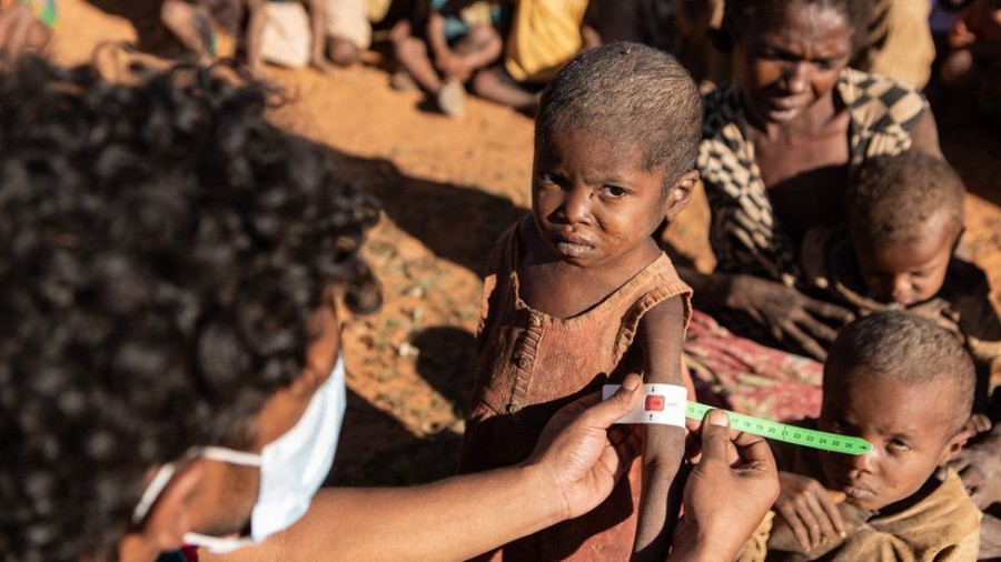 MADAGASKAR NA RUBU GLADI