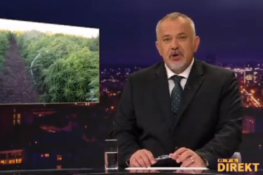 HAOS U HRVATSKOJ Na državnom zemljištu otkrivena najveća plantaža marihuane na Balkanu (VIDEO)