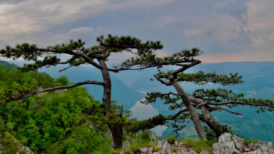 NE SMIJETE PROPUSTITI OVE FANTASTIČNE PRIZORE Najtraženije destinacije u Srbiji ove sezone (FOTO)