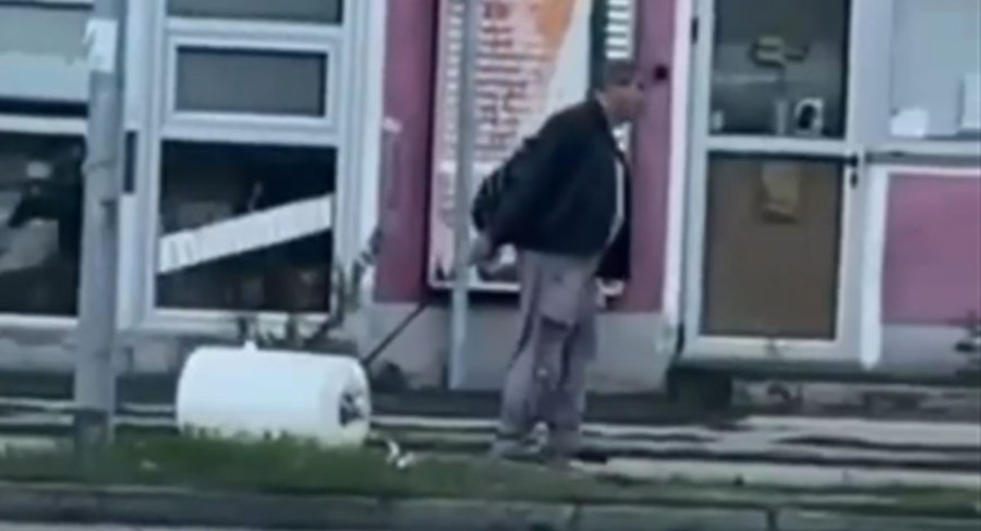 ŠETAO BOJLER ULICOM imao i povodac
