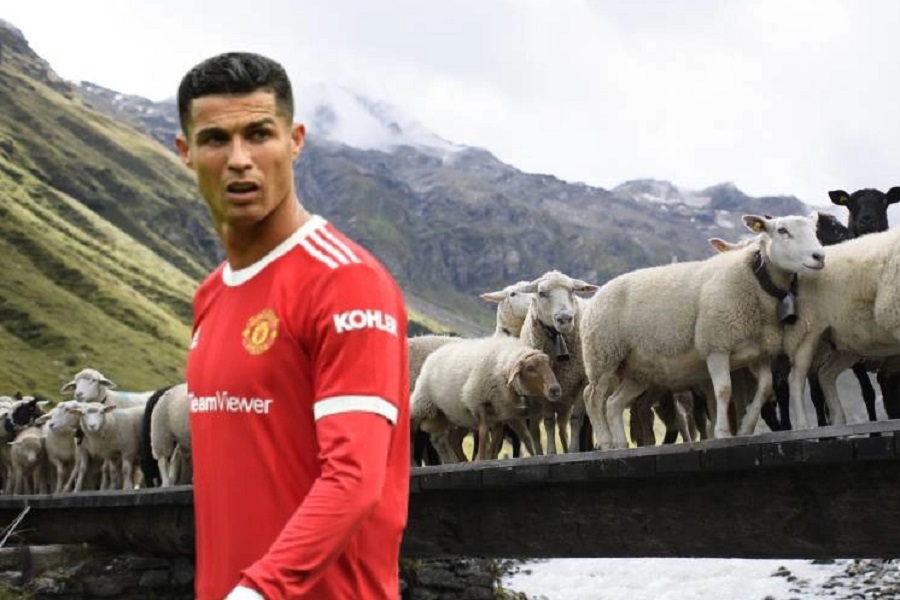 RONALDO POTPUNO POLUDIO OD MUKE! Portugalac se seli iz vile od 6.000.000 eura ZBOG OVACA! (FOTO)