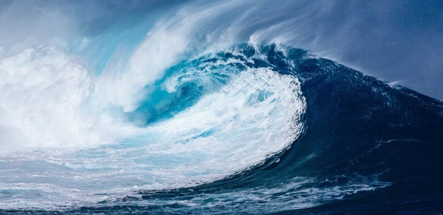 IZ MORA IZVUKLI NEMAN TEŠKU DVIJE TONE: Rijetka vrsta ribe pronađena u Španiji! (FOTO)