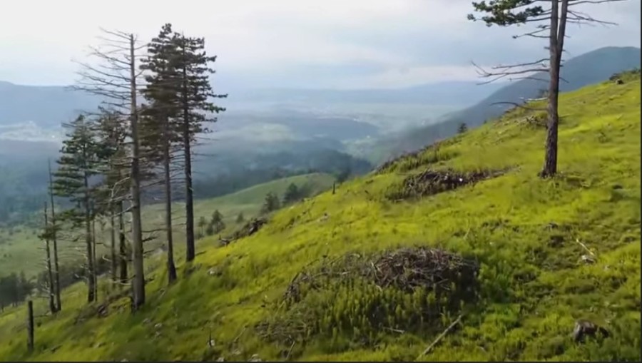 DRAMA NA DURMITORU Potraga za državljankom Slovenije koja se izgubila planinareći!