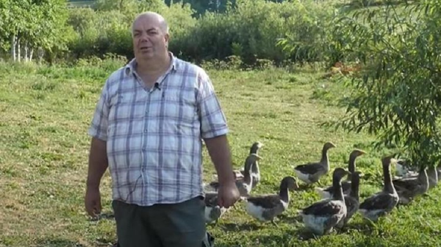 UZGAJA GUSKE NA VLAŠIĆU: Kilogram guščje masti 300 KM!