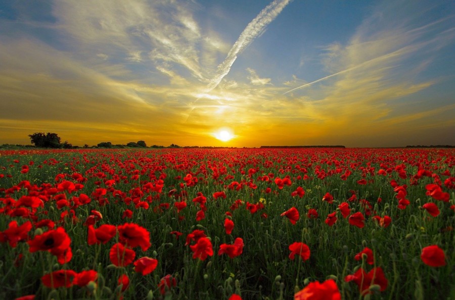 KLIMATSKE PROMJENE Temperatura u regionu povećava se stepen brže nego u svijetu