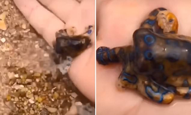 VIŠE SREĆE NEGO PAMETI: Nije ni pomislio da ga od smrti dijeli nekoliko minuta (VIDEO)