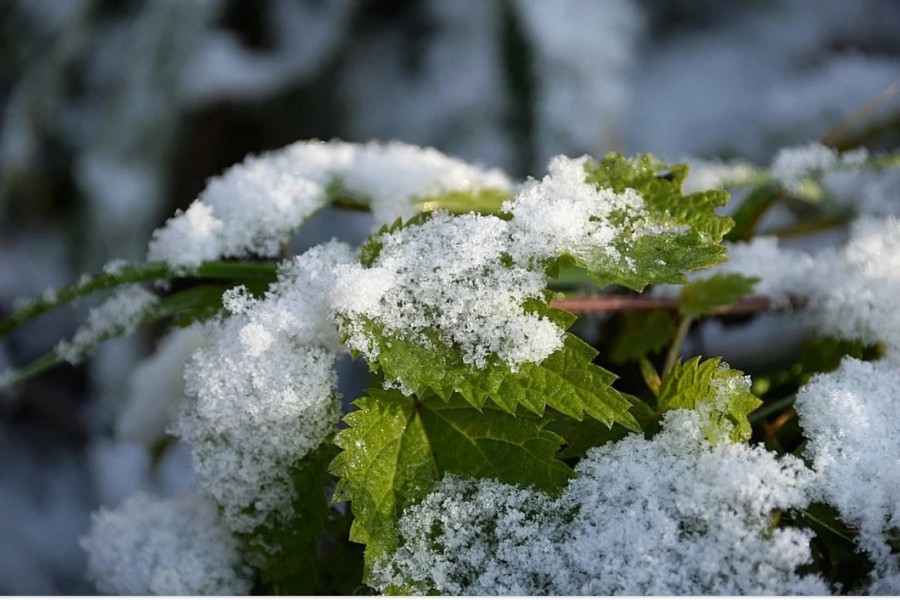 PRVI SNIJEG U BIH, pahulje i na Bjelašnici i Igmanu, temperature ispod nule