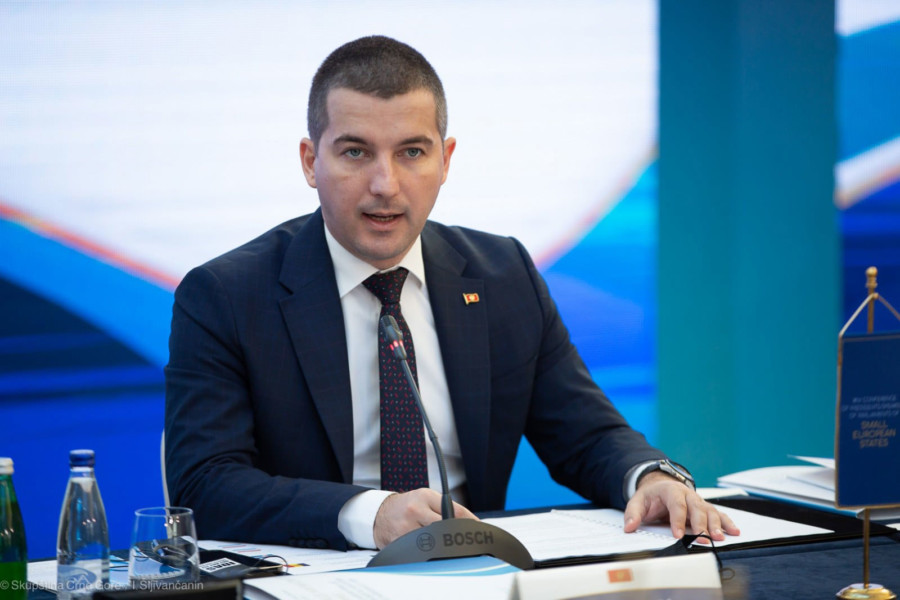 CRNA GORA Skupština namjerava nabaviti vozila na električni pogon