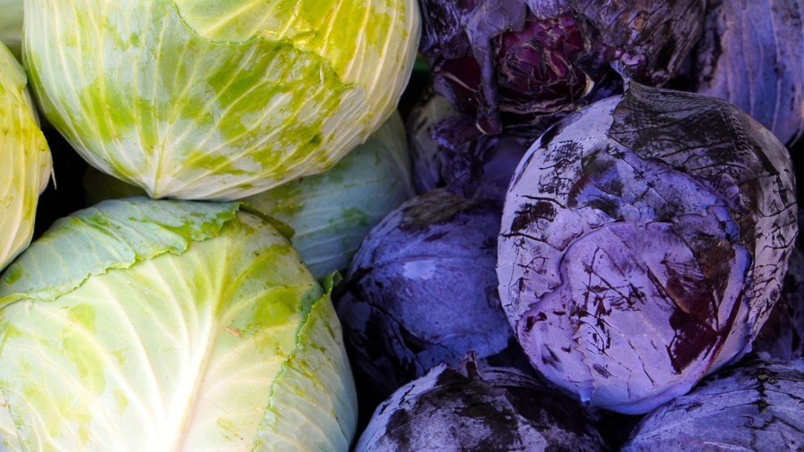 NEOBIČAN RECEPT ZA KUPUS SALATU Idealan za zimske dane