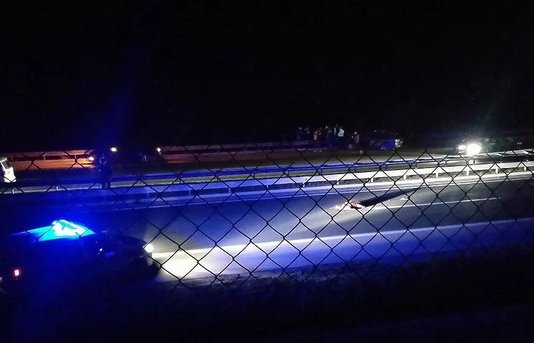 SAOBRAĆAJNA NESREĆA KOD ZENICE: Vozila naletjela na krdo divljih svinja na autoputu
