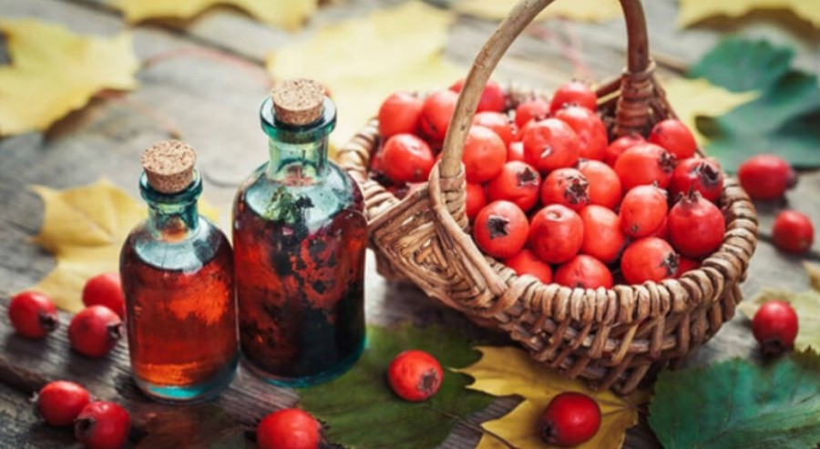 OVA BILJKA JE SPAS ZA OSLABLJENO SRCE Sami napravite kapi, sirup i tinkturu, koji regulišnu krvni pritisak