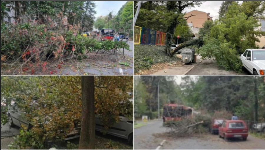 KOŠAVA NAPRAVILA HAOS U Obrenovcu stablo palo na kuću, drvo palo na autobus, krošnja završila na terasi zgrade
