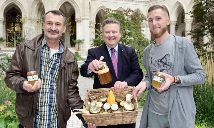 DAJU 180 KILOGRAMA MEDA GODIŠNJE Pčele na krovu bečke Vijećnice u humanoj misiji