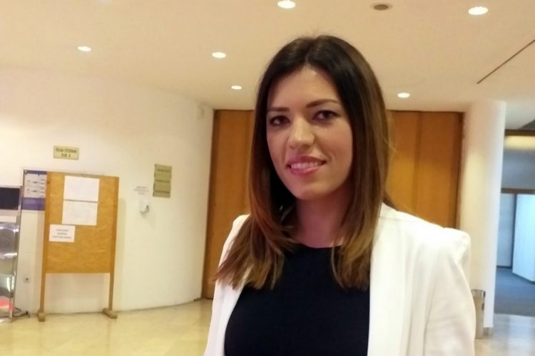 ODNOS MEĐUNARODNE ZAJEDNICE PREMA SRBIMA I HRVATIMA Sanja Vulić: "Dozvoliti vandalizam njemačkom turisti nad Srbima u 21. vijeku mogu samo neodgovorni ljudi"