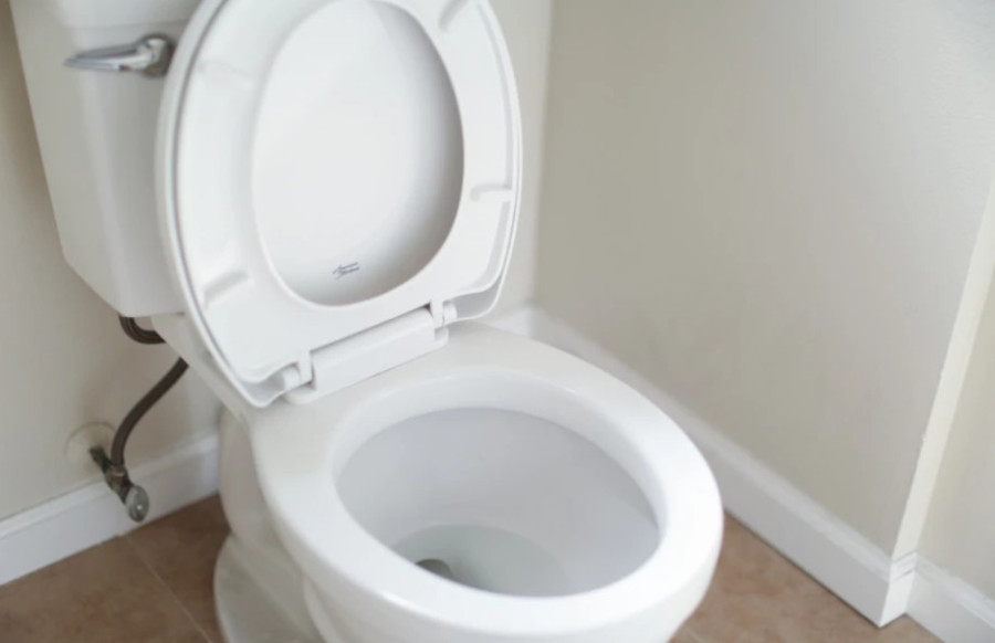 Evo koliko često treba da mijenjate četku za WC šolju