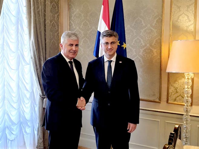ČOVIĆ-PLENKOVIĆ: U neizbornoj godini riješiti pitanje IZBORNOG ZAKONA!