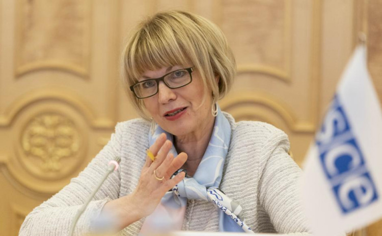 ŠMIDOVA IZRIČITA: "Zaustavite retoriku podjele u BiH, svoju pažnju usmjerite na reforme izbornog procesa!"