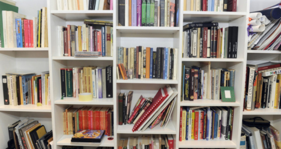 VIC DANA bibliotekar