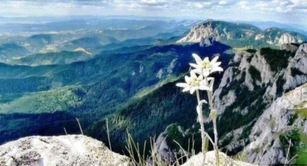 IĆI ĆE IM SVE OD RUKE! Dva horoskopska znaka čeka velika sreća u avgustu! Evo o kome je riječ