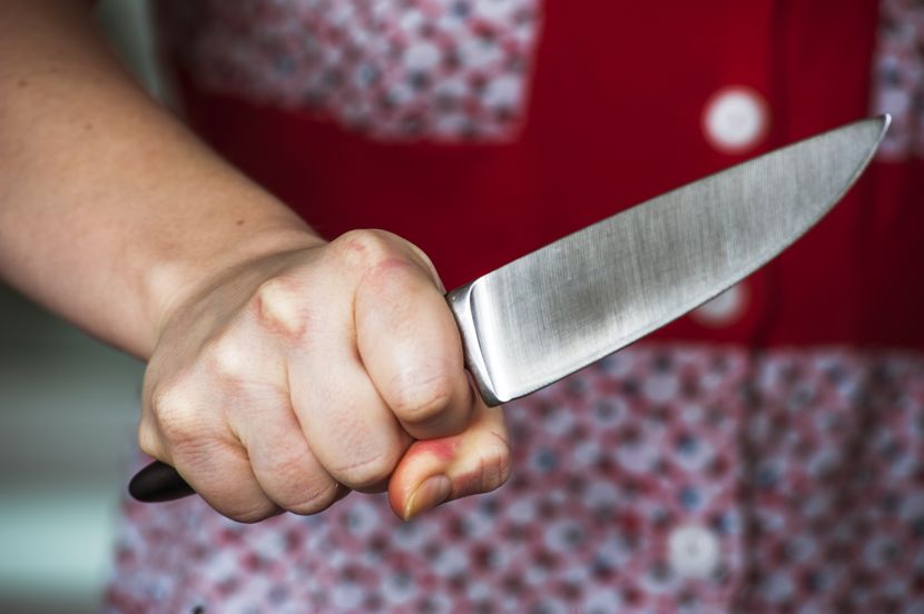 KRVAVI PIR Komšinica izbola dva muškarca