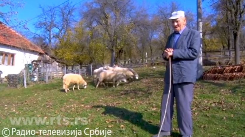 DEDA RADOLJUB SEDAM DECENIJA NIJE BIO KOD DOKTORA: Dva puta se ženio, posvetio se ovčarstvu