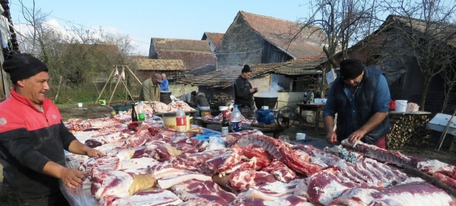 TRADICIJA! Domaćini otkrivaju tajnu dobrih čvaraka, kobasica i švargle (VIDEO)