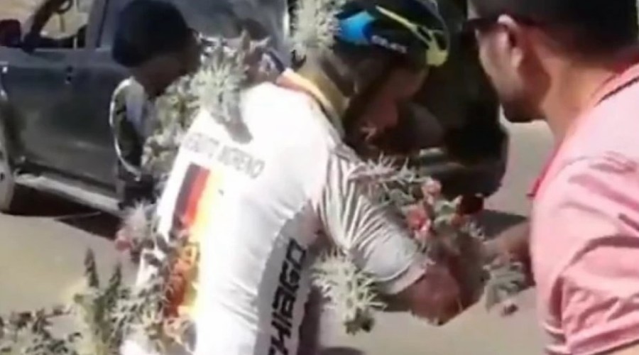 ZAVRŠIO U BOLNICI NA VAĐENJU BODLJI Biciklista uletio u žbun kaktusa, evo kako se proveo (FOTO/VIDEO)