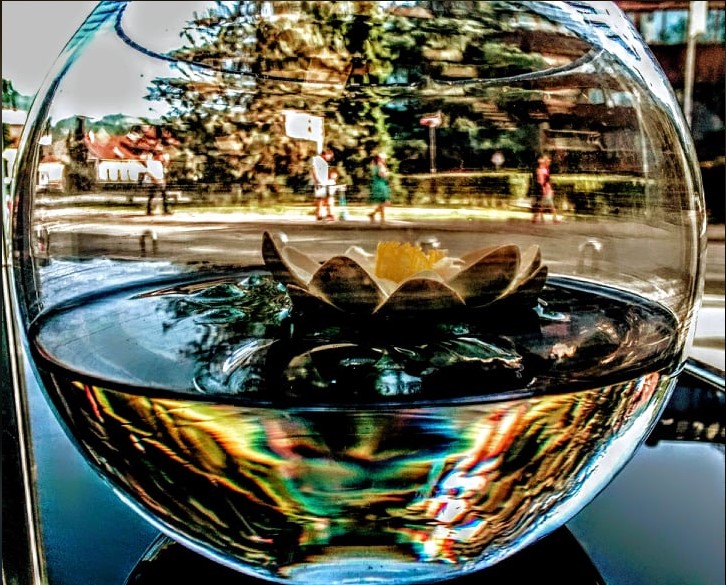 OVO SU ČETIRI NAJINTELEGENTNIJA horoskopska znaka