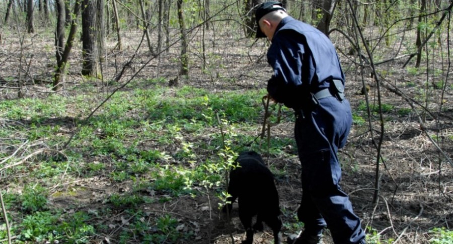 VIC DANA Pitaju policajci lovca zašto je pucao na kolegu...