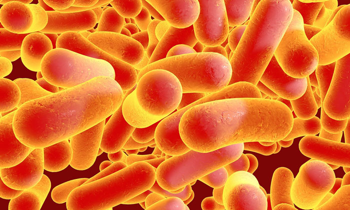 BIOLOŠKA KONTAMINACIJA NA POMOLU! Naučnici upozoravaju na apokaliptični scenario
