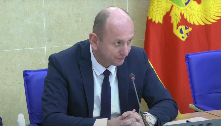 KNEŽEVIĆ: Premijer Crne Gore degradira Odbor i svoju funkciju