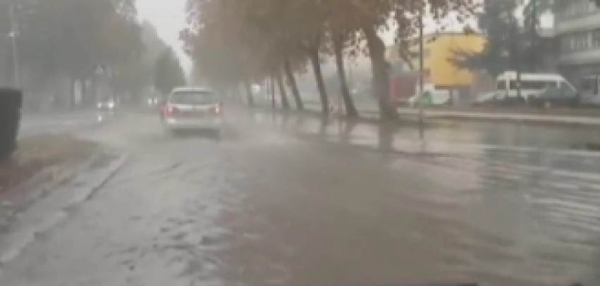HAVARIJA Novi Sad kao Venecija (VIDEO)