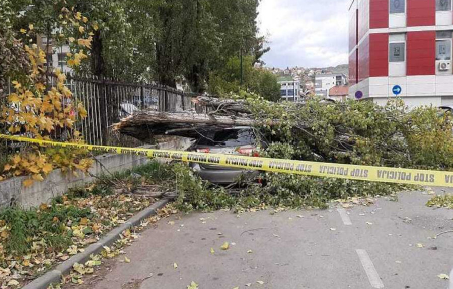 HAOS U SARAJEVU! VJETAR OBORIO DRVO: Oštećeni automobili