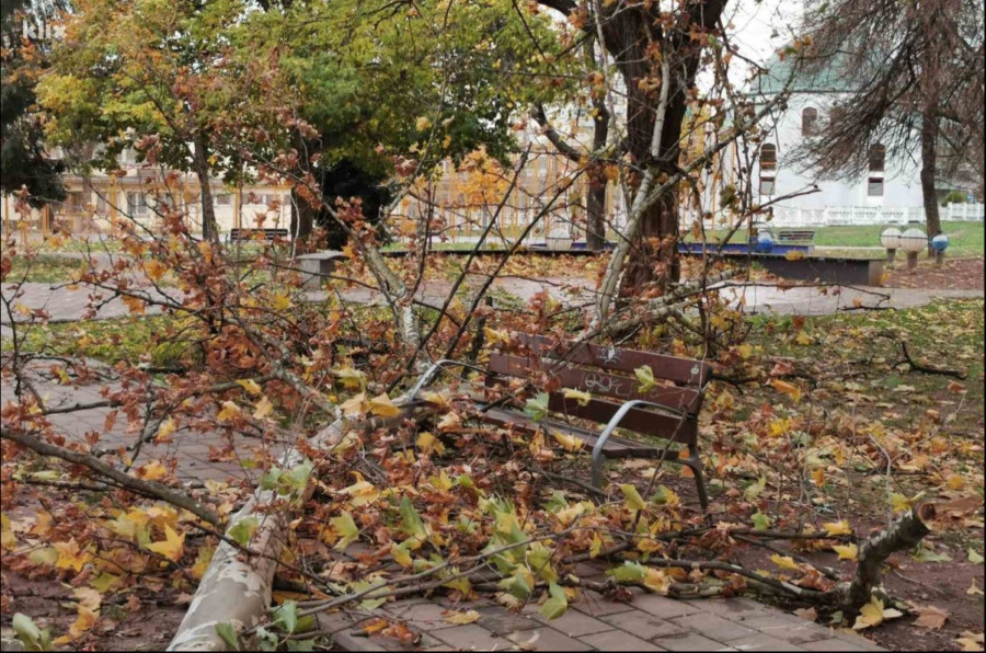 SARAJLIJE ZABRINUTE, ŠTA SE DEŠAVA? Zašto nadležni traže da se očiste skloništa?
