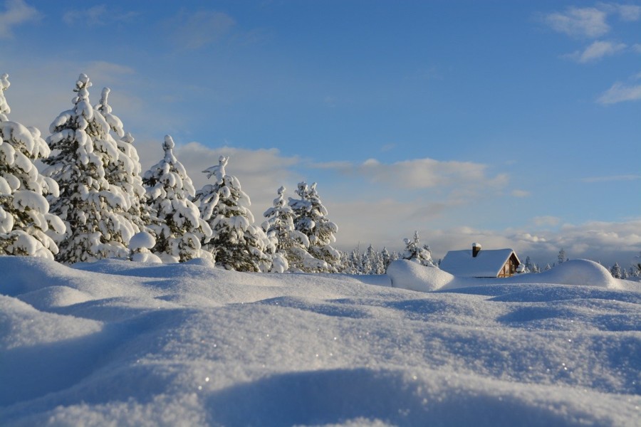 DA LI ĆEMO UŽIVATI U SNJEŽNOJ ČAROLIJI ZA NOVU GODINU? Vremenske prilike otkriva čuveni meteorolog