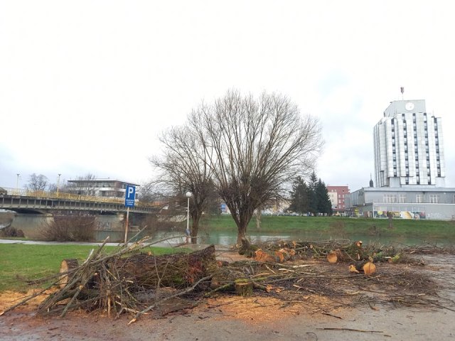 PRIJEDORČANI OGORČENI: Posječena stabla koja su krasila obalu Sane! (FOTO)