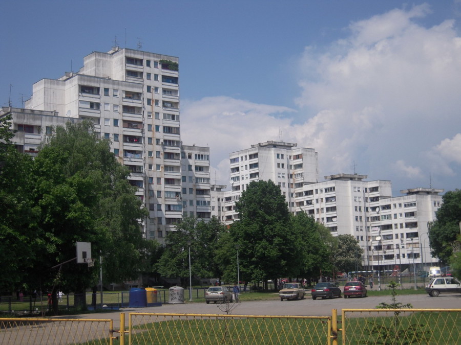 STRAVIČNE SCENE U BORIKU Djevojku ugrizao pas, prolaznici je jedva spasli!