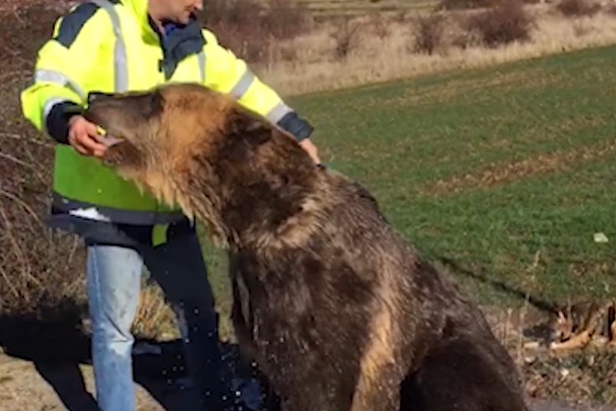 NEGDJE SNIJEG NIJE JOŠ PAO, a neko već jedva čeka da se rashladi! (VIDEO)