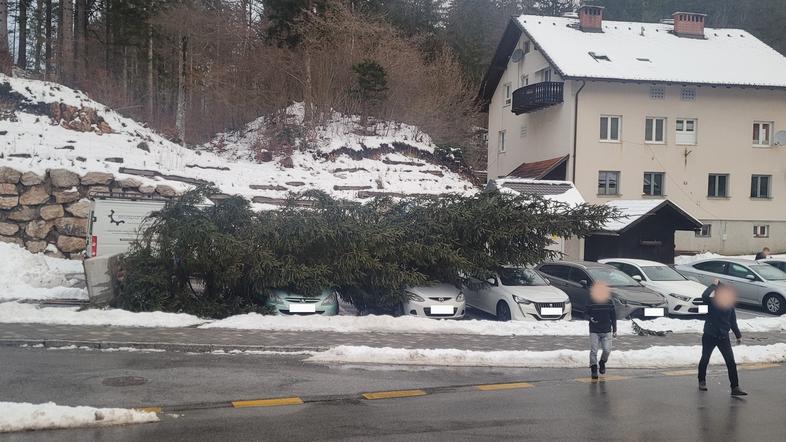 PRISJELE IM NOVOGODIŠNJE ČAROLIJE: Pala jelka, oštetila četiri automobila