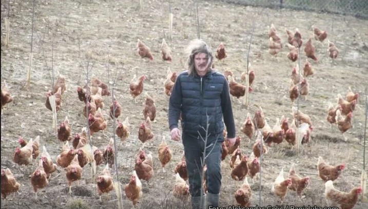 NOSILJE DRAŽE OD KENGURA Predrag se vrati iz Australije u Banjaluku da uzgaja koke