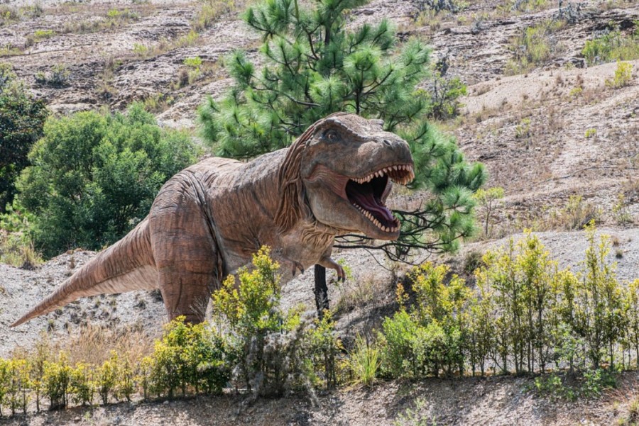 LUTAO JE NAŠOM PLANETOM PRIJE 125 MILIONA GODINA Imao je 900 kilograma i živio u krdu: Otkriveni fosilni ostaci dinosaurusa