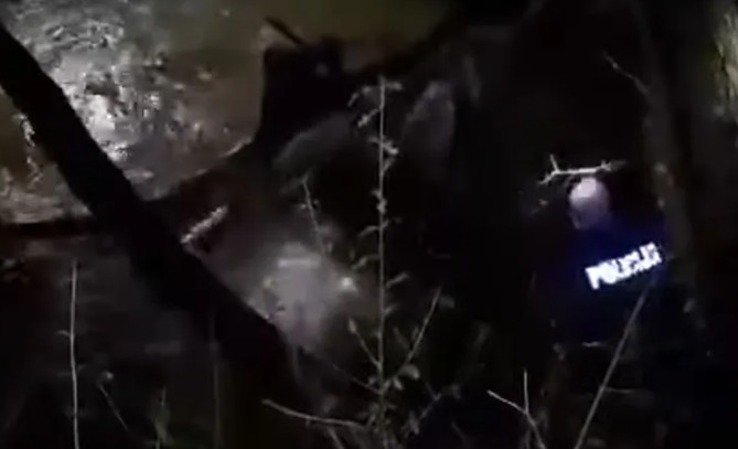 PAKLENA NOĆ NA GRANICI! NABUJALA RIJEKA ODNIJELA DIJETE, majku našli na srušenom deblu (VIDEO)