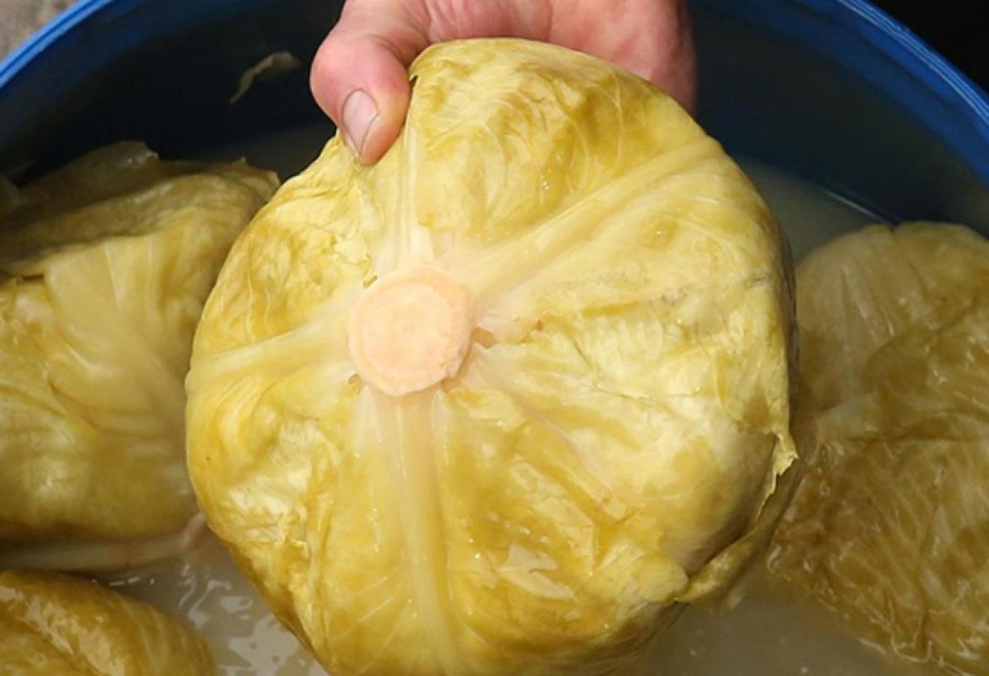 RECEPT ISKUSNIH DOMAĆICA Evo kako da brzo i lako ukiselite kupus u tegli
