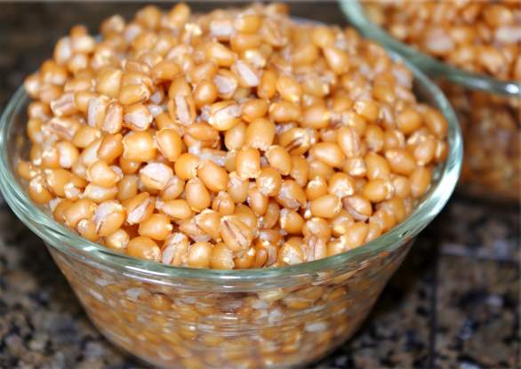 TRADICIONALNI RECEPT ZA SLAVSKO ŽITO: Koji sastojci mu daju poseban ukus