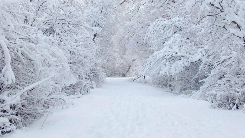 SAD POGODILE SNJEŽNE OLUJE. Hiljade stanovnika ostale bez struje, temperature i do -48°C (VIDEO)