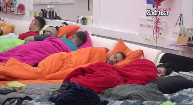 ZADRUGARI NE MRDAJU IZ KREVETA! Ni Veliki šef ne može da ih pomjeri! Evo zašto odbijaju ustati... (VIDEO)