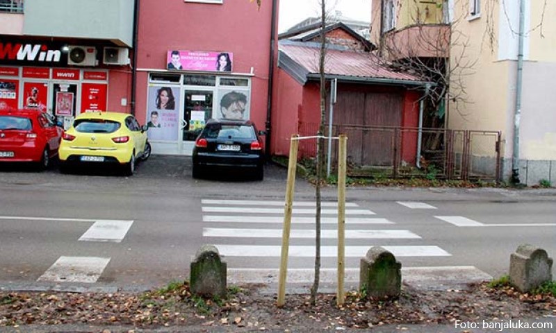 PJEŠACI U ŠOKU U Banjaluci zasadili drvo tik ispred pješačkog
